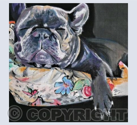 Sleepy French Bulldog 1