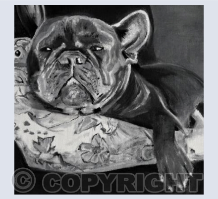 Sleepy French Bulldog 2