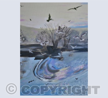 The Sky Full of Wings