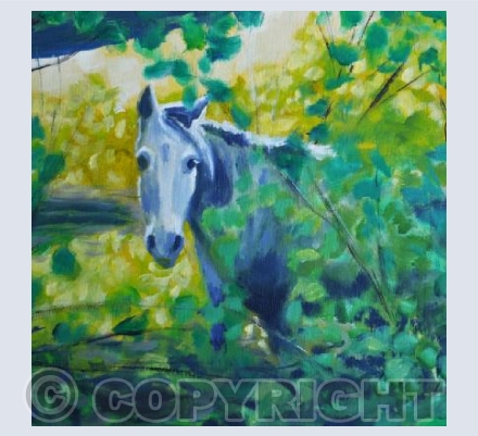 Dappled Shade