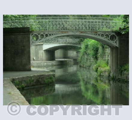 Sydney Gardens, Summer Greens