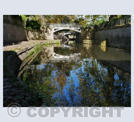 Sydney Gardens, Blue Sky