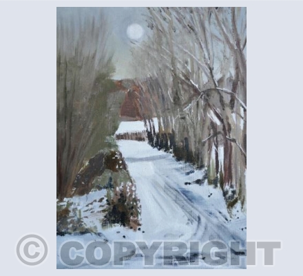 Snow in the Lane 1