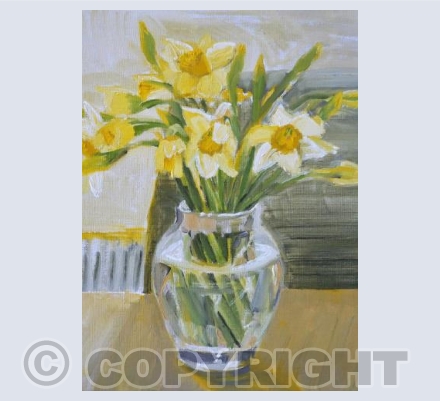 Yellow Daffodils