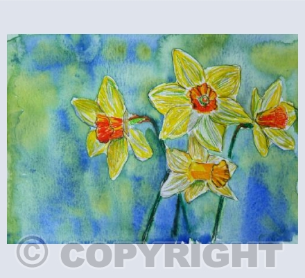 Cheerful Daffodils