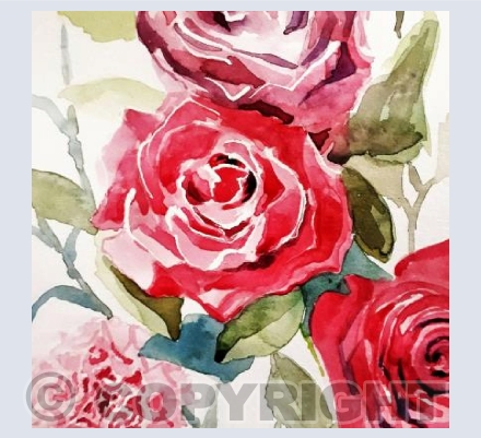 Mother's Day Roses