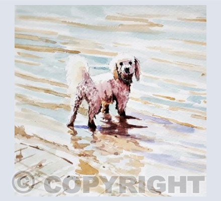 Doggy Paddle