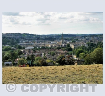 Cutting the Hay