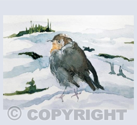 Robin