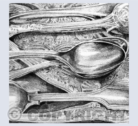 'Tyntesfield Spoons'