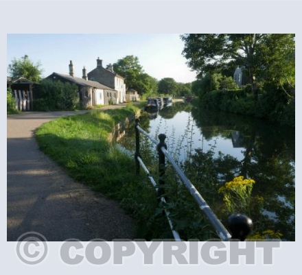 Summer By The Canal