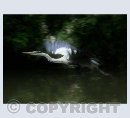 Flight