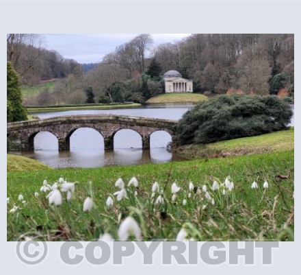 Snowdrops at Stourhead 