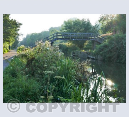 The Wooden Bridge 