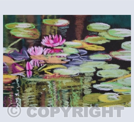 Waterlilies