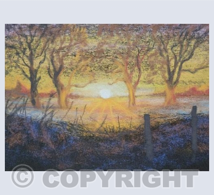 Winter Sunrise