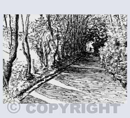 Smallcombe Shadows