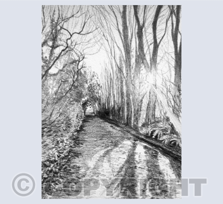 Smallcombe, Winter Light 