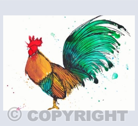 Cockerel