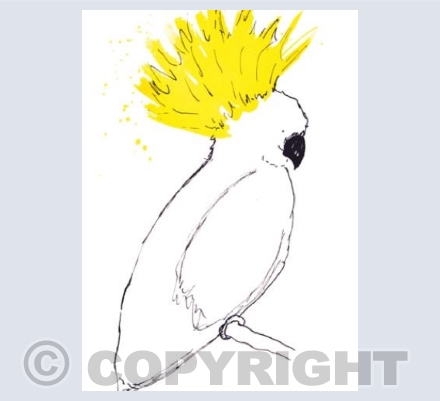 Cockatoo