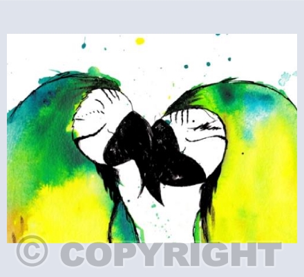 kissing parrots