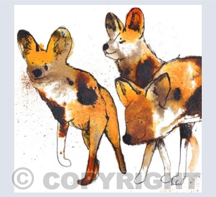 african hunting dogs