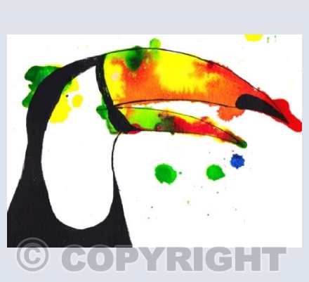 Toucan