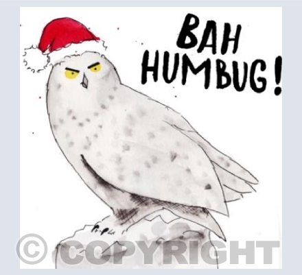 Grumpy Owl Christmas Card 