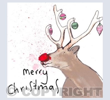 Christmas Raindeer
