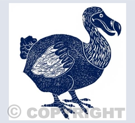 Oxford Blue Dodo