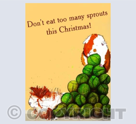 'Christmas Guinea Pigs'
