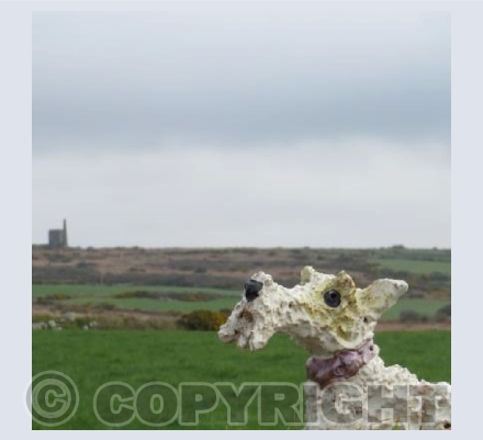 Ben visits Ding Dong Mine, West Penwith, Cornwall
