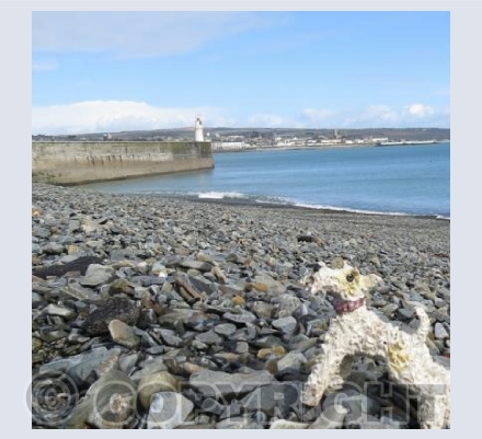 Ben visits Newlyn Harbour, Penzance, Cornwall