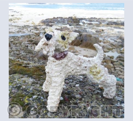 Ben visits Sennen Cove