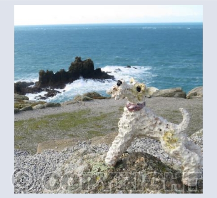 Ben visits Land's End Rocks