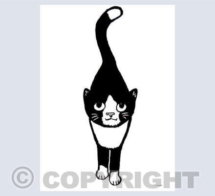 Stalking Cat