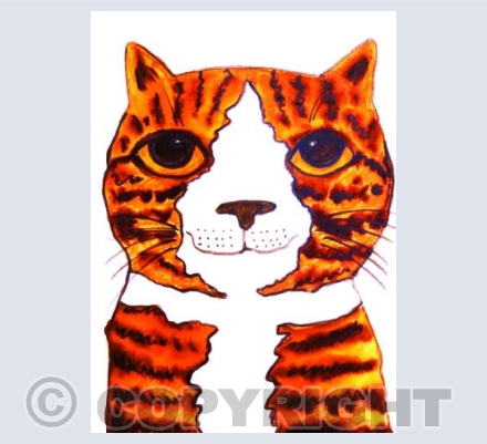 Ginger and white tabby cat