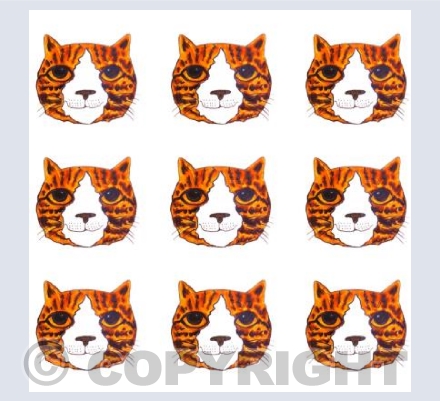 Ginger and white cat grid pattern