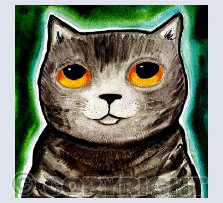 Colin Silver Tabby