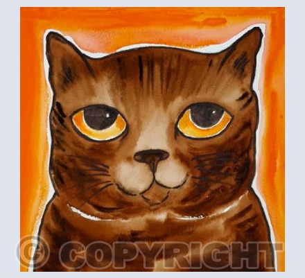 Nigel Brown Tabby Cat