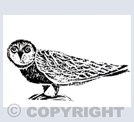 Owl Linocut Black and White