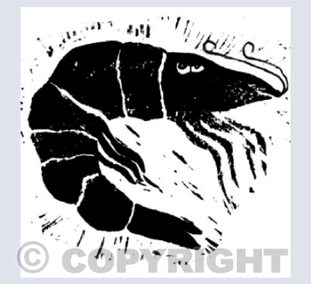 Prawn Linocut