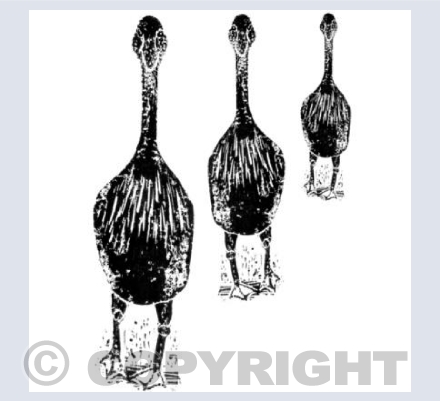 Walking Geese Linocut