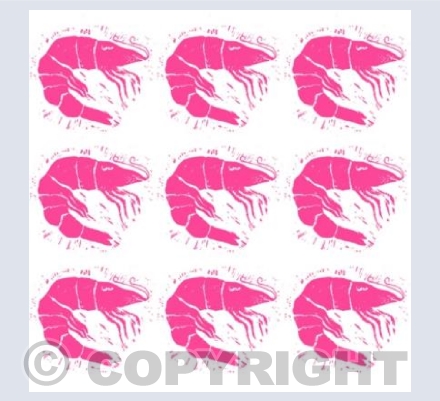 Pink Prawn Grid