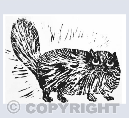 Persian Cat