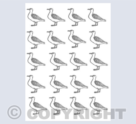 Seagull Grid