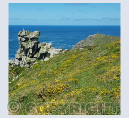 Carn Gloose, Cape Cornwall and a seagull