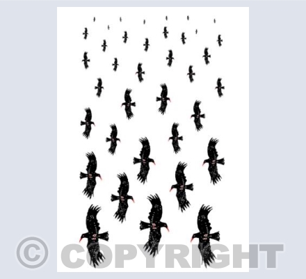 Flying Choughs rectangle