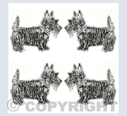 Square 4 Big Scotties