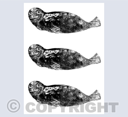 3 Seals